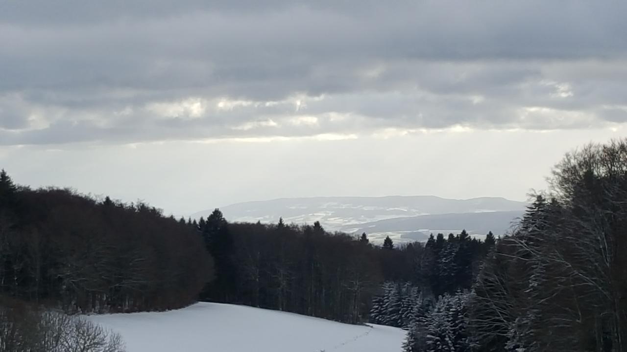 Gasthof Zum Hirschen Hotel Strittmatt Luaran gambar